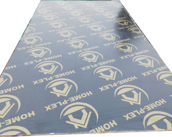 Paulownia MR Film Faced Shuttering Plywood , Black Film Plywood For Formwork